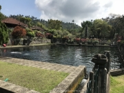 Bali-125
