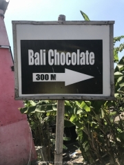 Bali-137