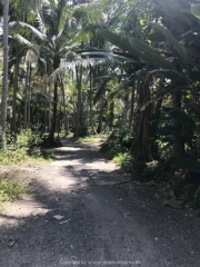 Bali-138