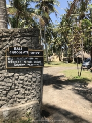 Bali-139