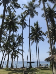 Bali-141