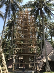 Bali-145