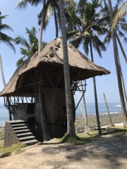 Bali-146