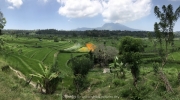 Bali-169