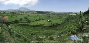 Bali-170
