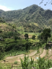 Bali-172