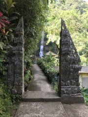 Bali-184