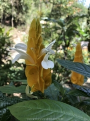 Bali-193