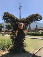 Bali-205