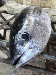Bali-223