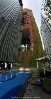 Singapore - 008