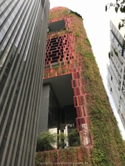 Singapore - 009