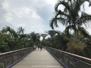 Singapore - 050
