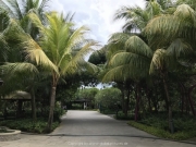 Singapore - 054