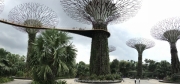 Singapore - 064