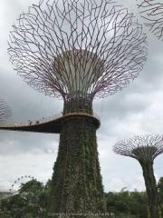 Singapore - 065