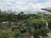 Singapore - 066