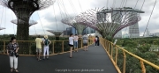 Singapore - 067