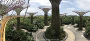 Singapore - 072