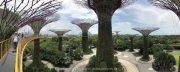 Singapore - 073