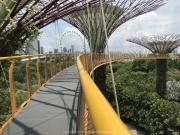 Singapore - 074