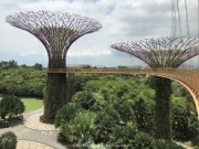 Singapore - 075