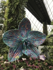 Singapore - 085