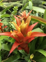 Singapore - 089