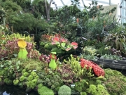 Singapore - 097