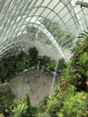 Singapore - 099