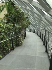 Singapore - 102