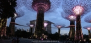 Singapore - 140
