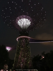 Singapore - 143