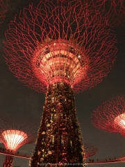 Singapore - 147