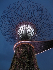Singapore - 153