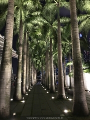 Singapore - 172