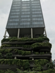 Singapore - 221