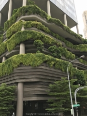 Singapore - 223