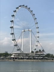 Singapore - 232