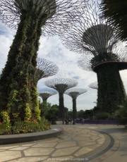Singapore - 238