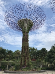 Singapore - 239