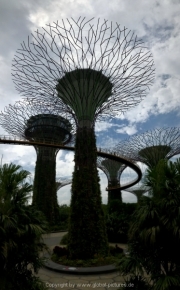 Singapore - 242