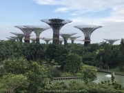 Singapore - 243