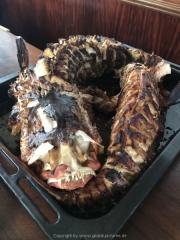 Malediven 02-2019 -070