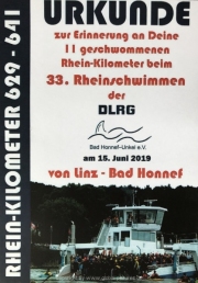 Rheinschwimmen-Bad-Honnef-2019-48