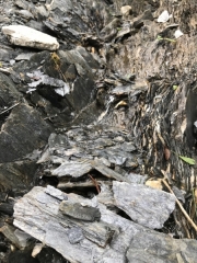 Tux-Finkenberg-Wandern-2019-014