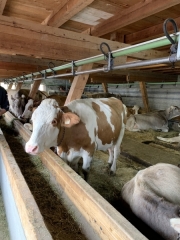 Tux-Finkenberg-Wandern-2019-029