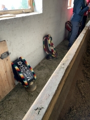 Tux-Finkenberg-Wandern-2019-030