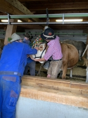 Tux-Finkenberg-Wandern-2019-037