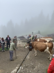 Tux-Finkenberg-Wandern-2019-039